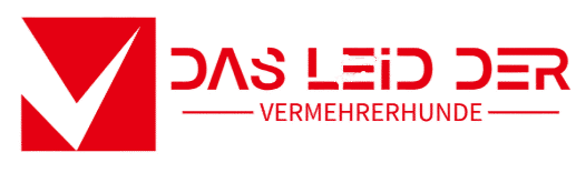 Zeitzeichen